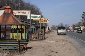 В Мордовии есть такая деревня - Умет. Там шачлычная буквально в каждом доме вдоль дороги, всего около полусотни кафешек-шашлычных.
Вот такая конкуренция однако.