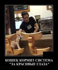 Я человек простой...

.
