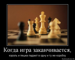 Интересных факты о шахматах