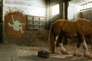 15 невезучих страдальцев, у которых выдался не самый лучший денёк