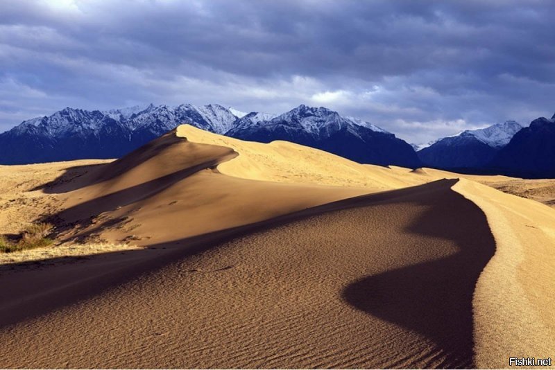 На моей малой родине есть настоящая пустыня - Чарские пески. Пустыня с невероятными видами на вечно снежный Кодар.