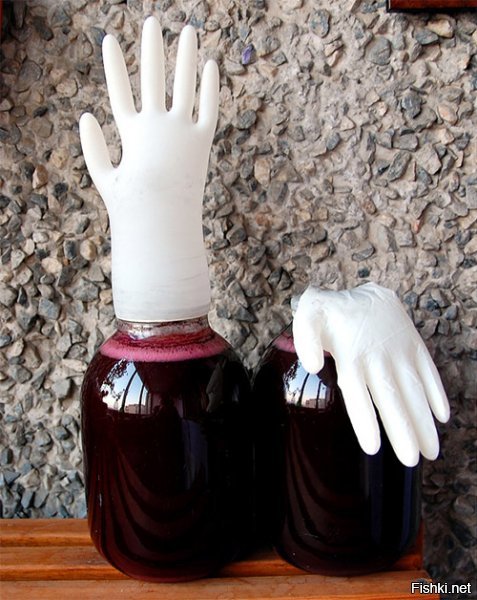 15 невезучих страдальцев, у которых выдался не самый лучший денёк