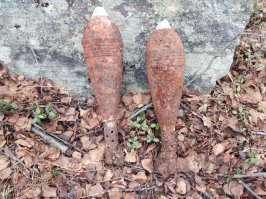 А в наших краях и копать не надо. Отошел от дороги на 30 метров в любую сторону, мох приподнял и вот...а то и чего похлеще