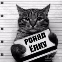 Не уронил елку не кот.