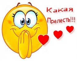 Прикольные и смешные картинки