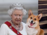 Намешалось