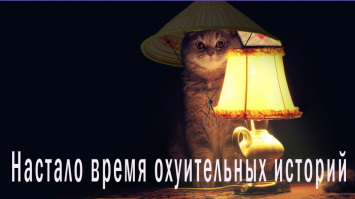 Шестилетняя британка нашла в рождественской открытке послание от китайских заключенных