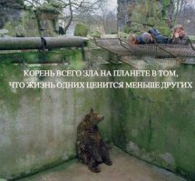 Не надо обобщать...