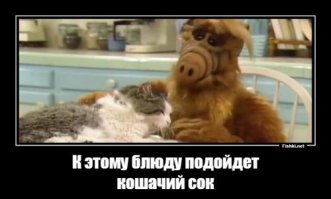 Прикольные и смешные картинки