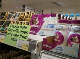 Человечество стремительно тупеет?