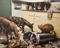 может, я и не прав, но перед уходом на работу я всегда выношу пакет с мусором, даже если он полупустой. тем более если там много выброшенных продуктов.