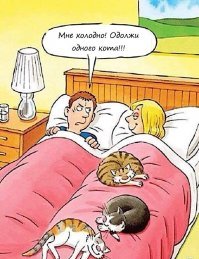 Об отношениях в семье с юмором