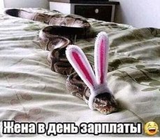 Об отношениях в семье с юмором