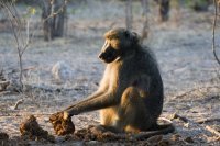 Фото автора шедевра