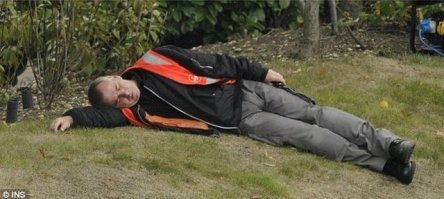 Прикольные и смешные картинки