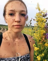 До какого этажа может добраться комар?