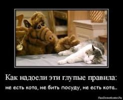 Не детский, а семейный.
Тут главное правильно их приготовить.
