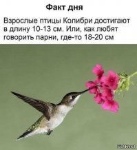 17 сравнительных размеров всего на свете