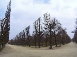 Я, вроде, в эту игру играл