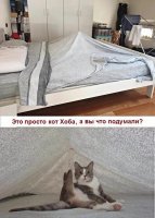 А я думал, это кровать сразу с утренним стояком продаётся!