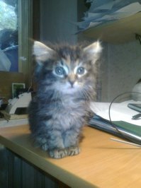 дайте приз...зовут упячка