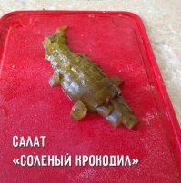 15 неоднозначных фото из серии "Разрыв шаблона"