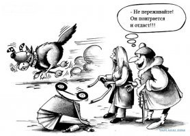 Случайный прохожий спас 4-летнего мальчика от питбуля