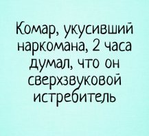 До какого этажа может добраться комар?