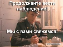 До какого этажа может добраться комар?
