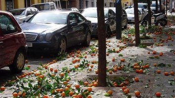 Ну повезло же некоторым с климатом...