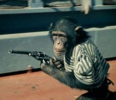 Группа бородатых мужчин напала на посетителей саратовского кафе и устроила интерактивный тир