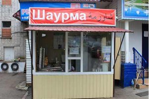 Водитель автобуса помогла найти дом двум потерявшимся собакам