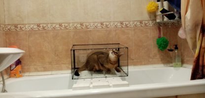 Прежде, чем захватить мир, необходима тренировка. Скажем.... на аквариумах?