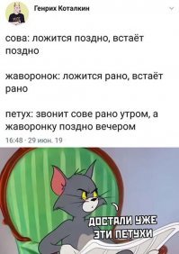Тайный смысл утреннего «кукареку»: зачем петухи кричат по утрам