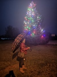 Здравствуй ж..а
Новый Год!!!