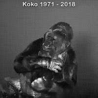 Грета. Начало.