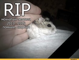 Во время ремонта в своей квартире россиянин нашел послание из 2002 года