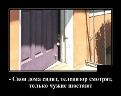 Котовсячина