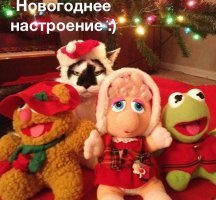 Пост посвящается тем, у кого нет праздничного настроения — я с вами!