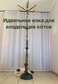 Хохотальня