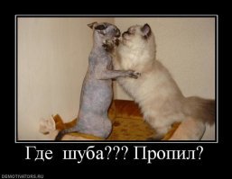 Ещё немного: