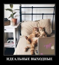 Ещё немного: