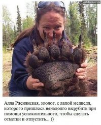 Прикольные и смешные картинки