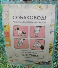 Собачьи калы разлагаются за неделю или месяц. Собачьи калы в мешке разлагаются лет много, слабо наладить выпуск биоразлагаемых пакетов для собак, для магазинов.