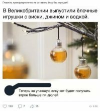просто кот на новый год уезжает в деревню...