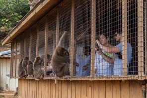 Скоро доживем...