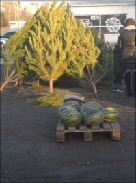 Как то так...