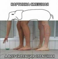 т.е. вот этот бородатый мужик на икре никого не смущает???
