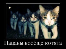 Планерка?

.