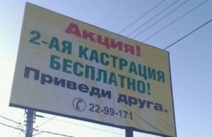 Кошачьи демотиваторы